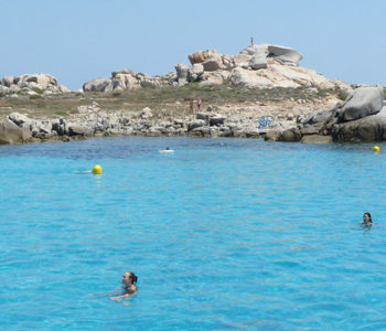Visite des îles Lavezzi