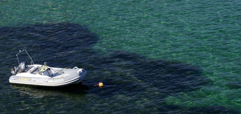 Sportaktivitäten Bootcamping Korsika