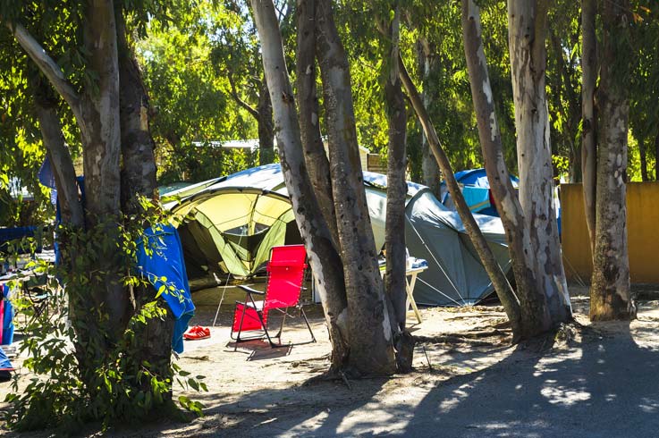 Stellplatz mit Baumcamping Rollen