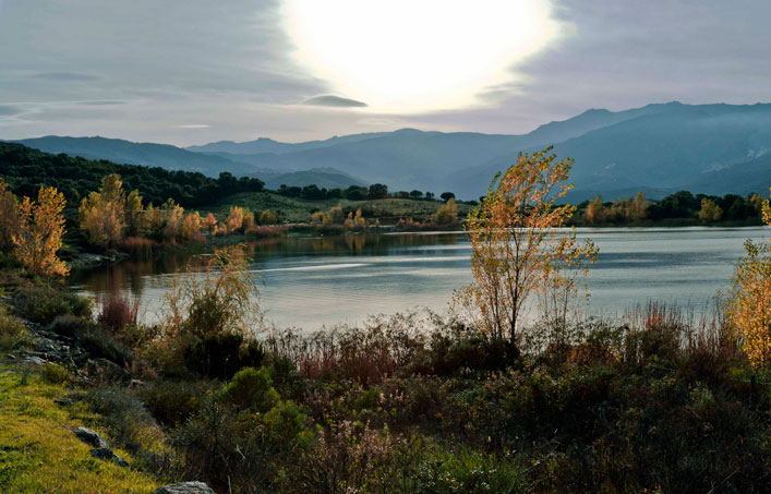 Grünanlage in der Nähe des Campingplatzes Korsika